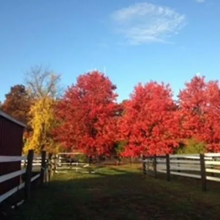 Flint Hill Farm Ag Villa